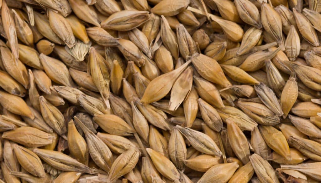 saskbarley-2023-annual-general-meeting