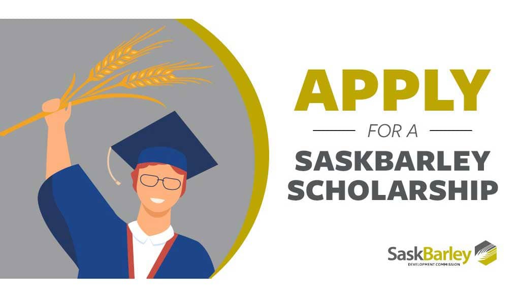 sb-scholarships