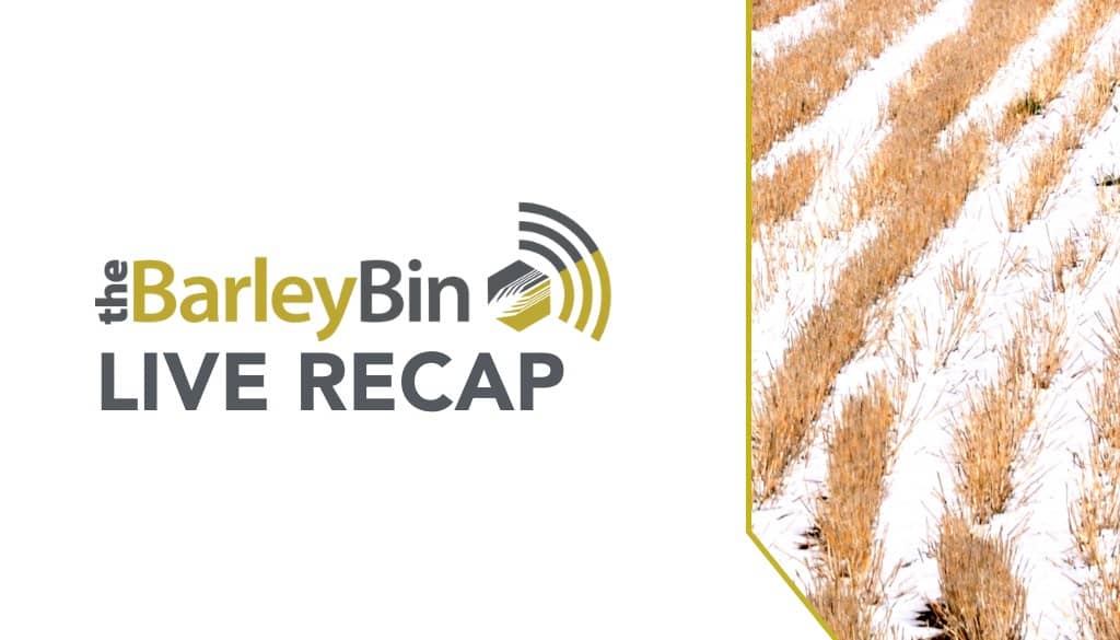 Cover Image for Barley Announcements on Website - 2