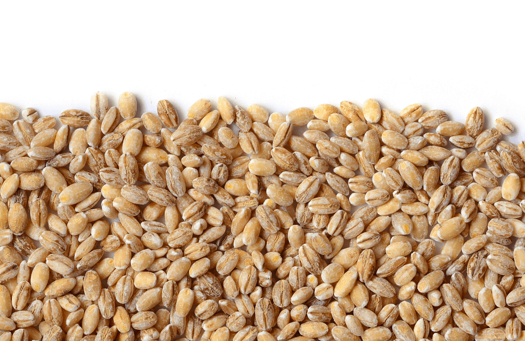 Hulled Barley